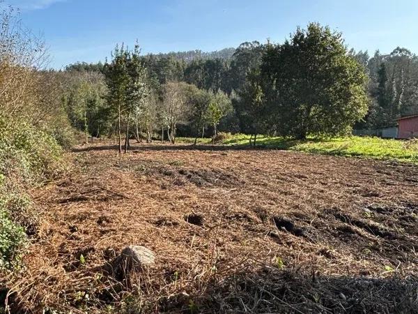 Terreno en a Millareira photo 4