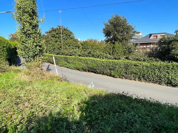 Terreno en San cidre s/n photo 4