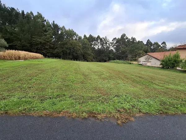 Terreno en Abegondo photo 3