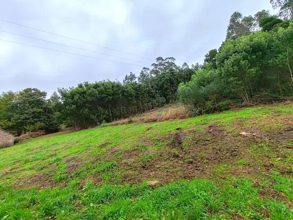 Terreno en Sembra, 56 photo 2