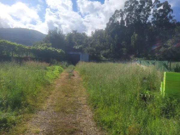 Terreno en Noia photo 1
