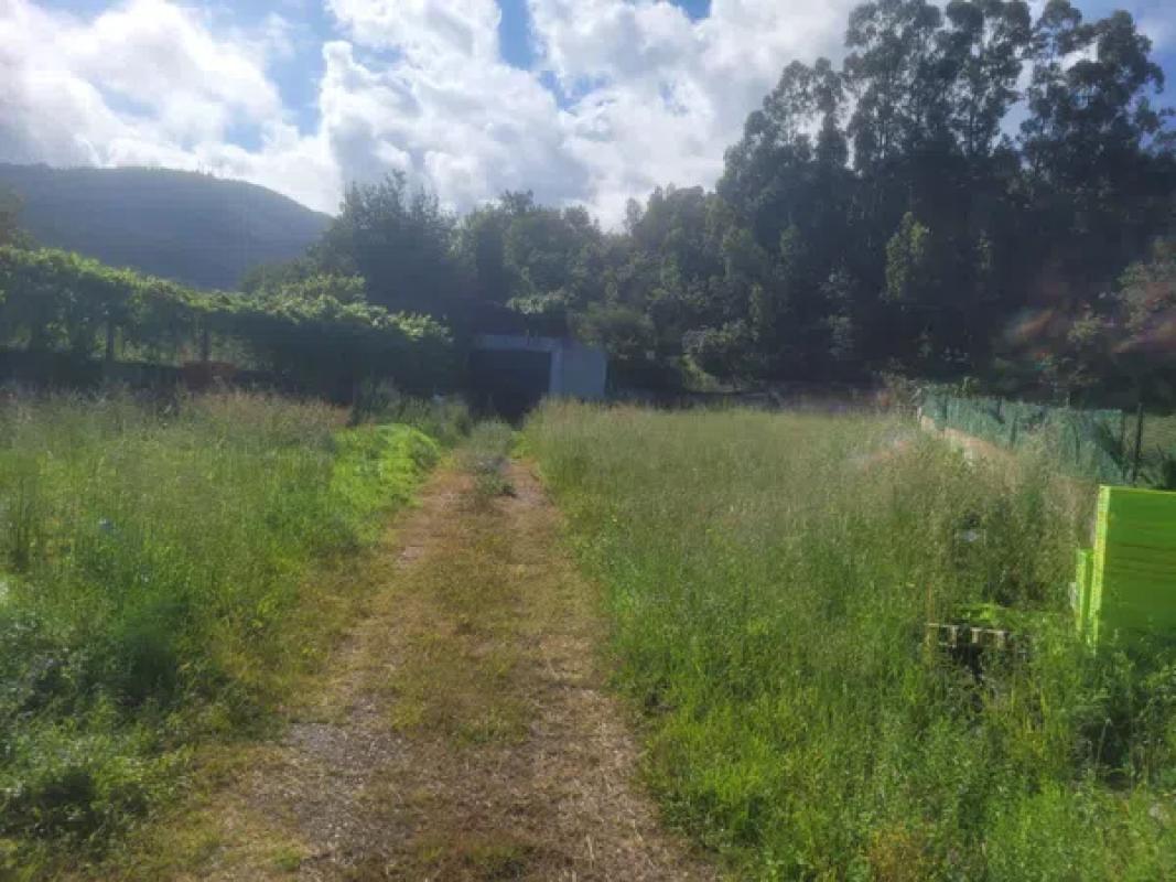 Terreno en venta en Noia, A Coruña photo 3