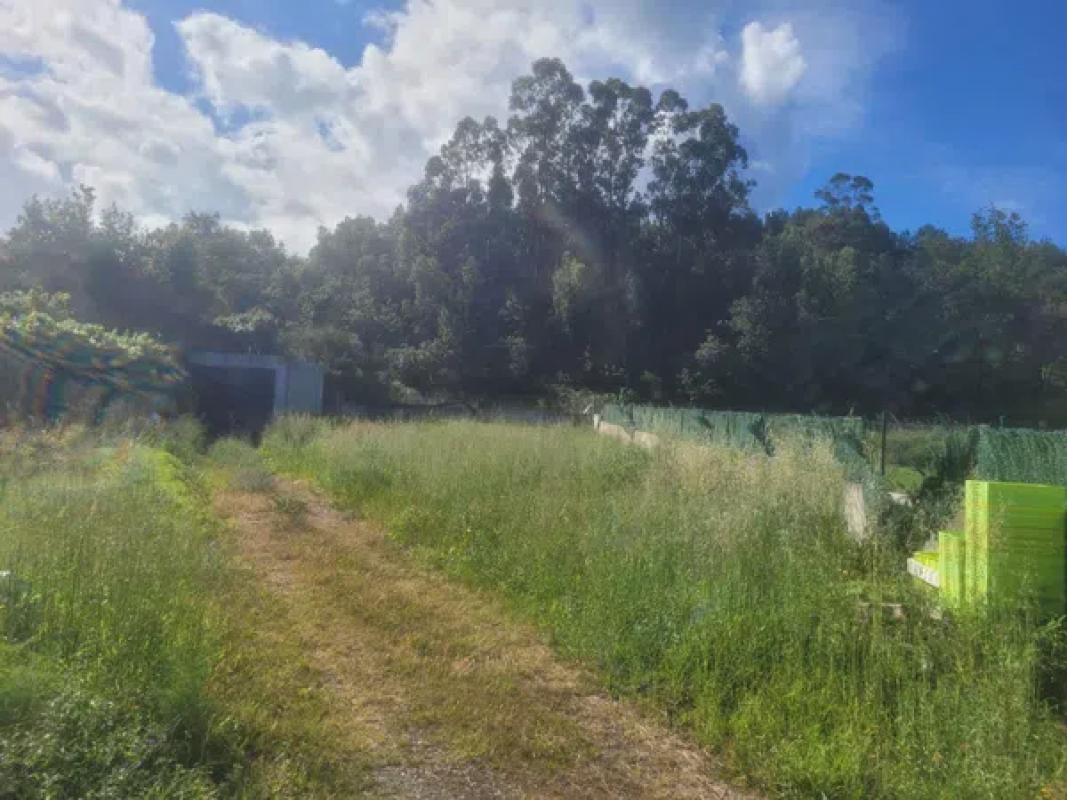 Terreno en venta en Noia, A Coruña photo 5