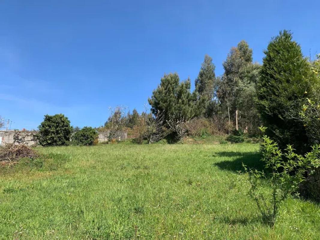 Land for sale in Arteijo, A Coruña photo 3
