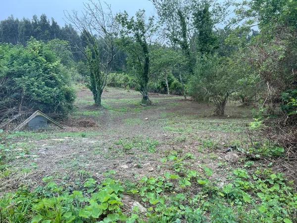 Terreno en Aldea Castiñeira s/n photo 3