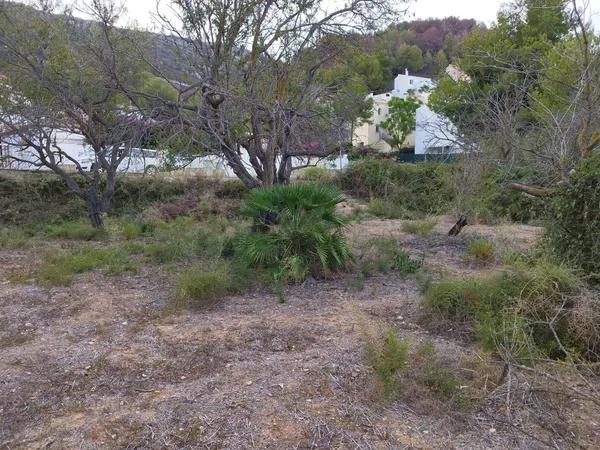 Terreno en calle Assagador photo 4