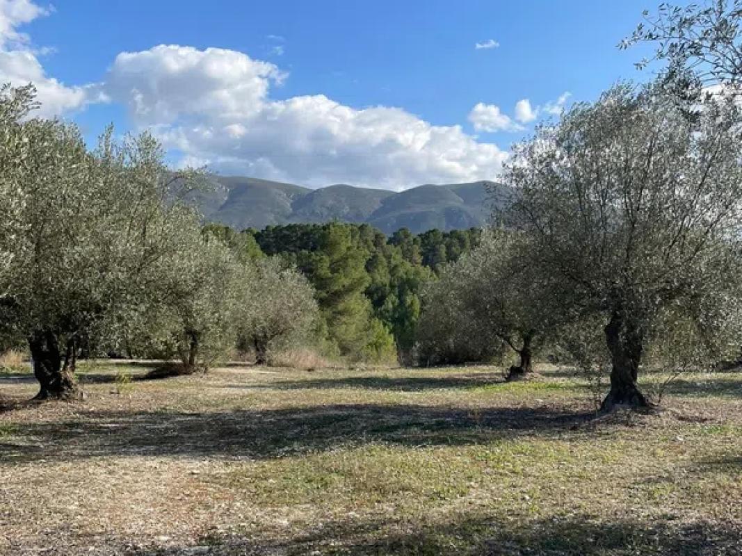 Land for sale in Planes, Alicante photo 2