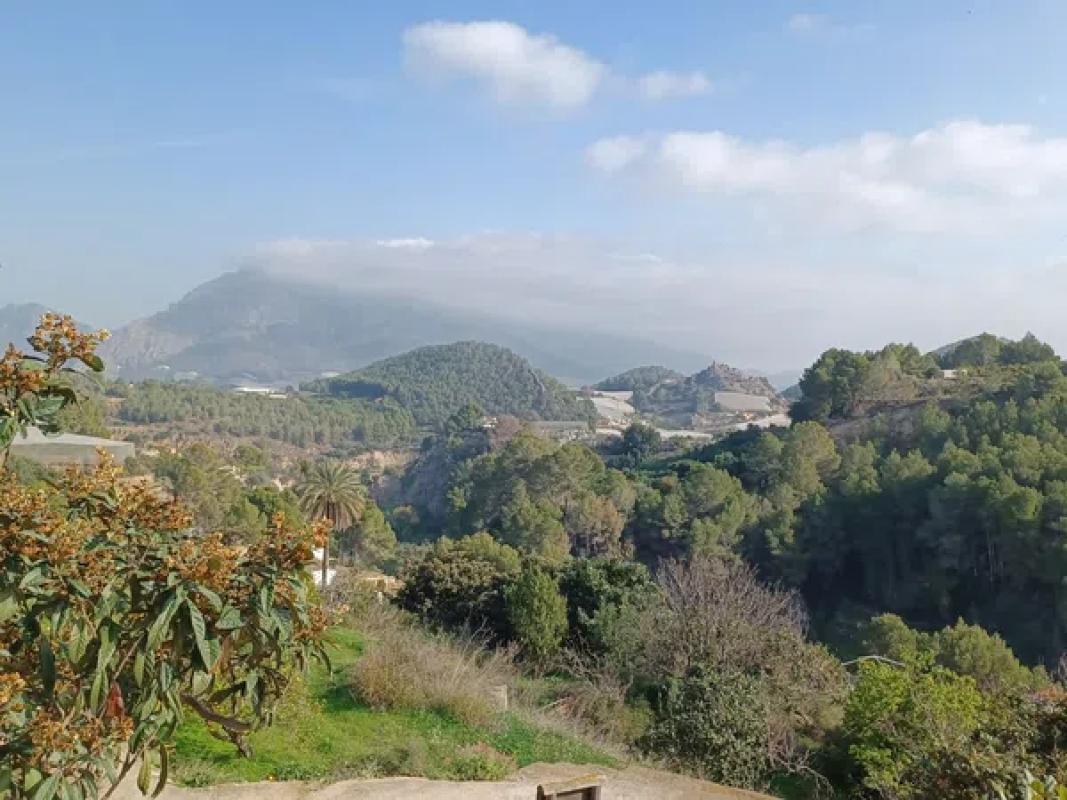 Terreno en venta en Callosa d''En Sarria, Alicante photo 4