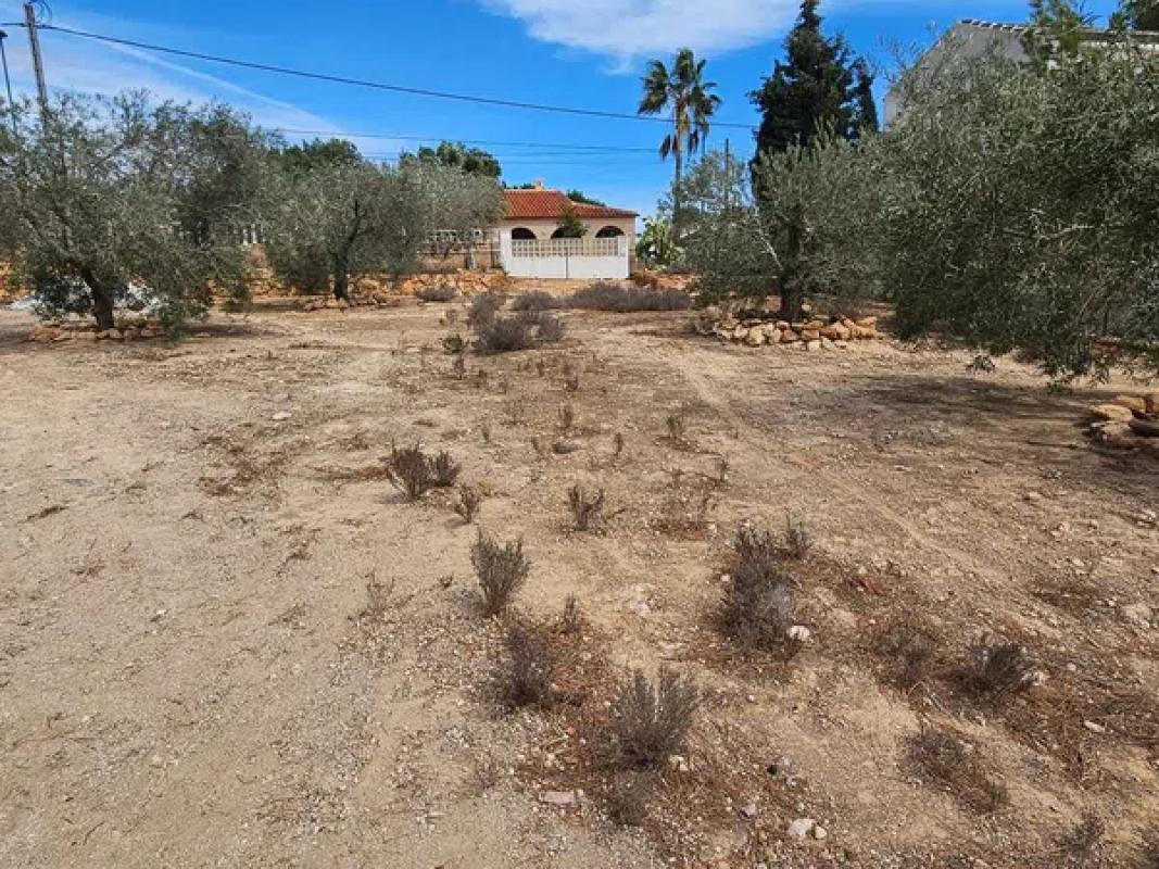 Terreno en venta en Pilar de la Horadada, Alicante photo 1