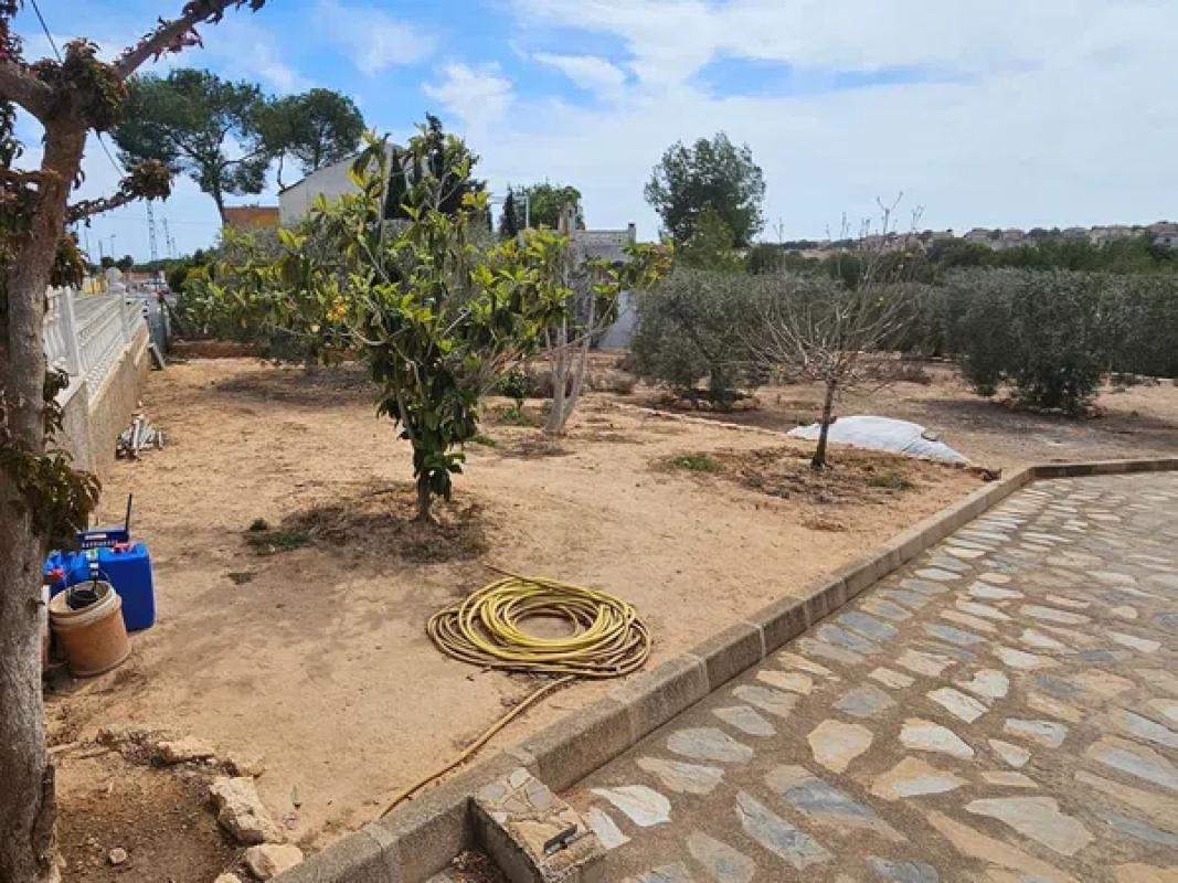 Terreno en venta en Pilar de la Horadada, Alicante photo 2