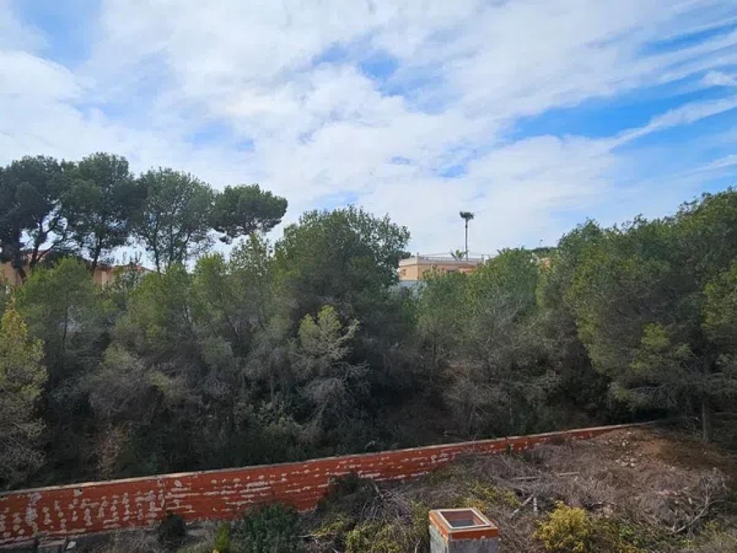 Terreno en venta en Pilar de la Horadada, Alicante photo 3