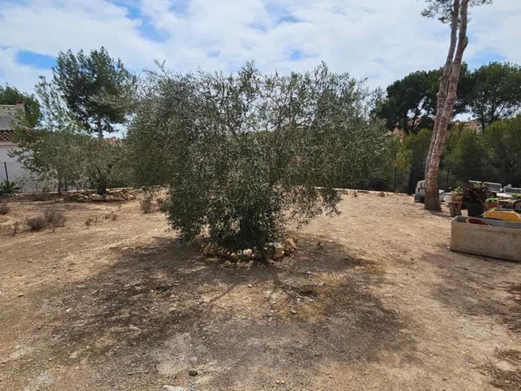 Terreno en venta en Pilar de la Horadada, Alicante photo 5