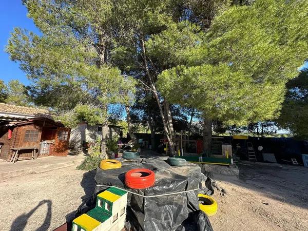 Terreno en Tibi photo 3