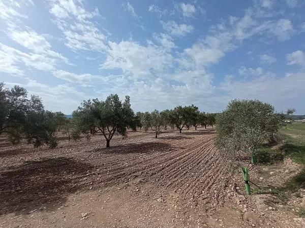 Terreno en Salinas photo 2