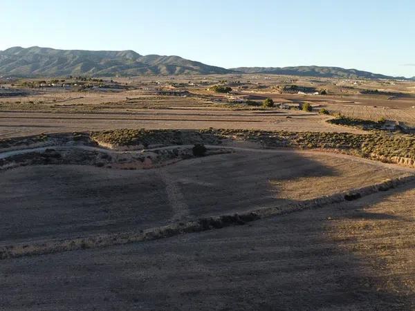 Terreno en Pinoso photo 4