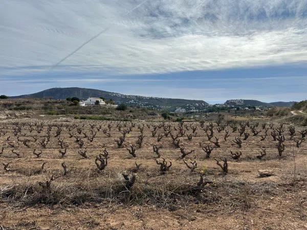 Terreno en Teulada photo 4