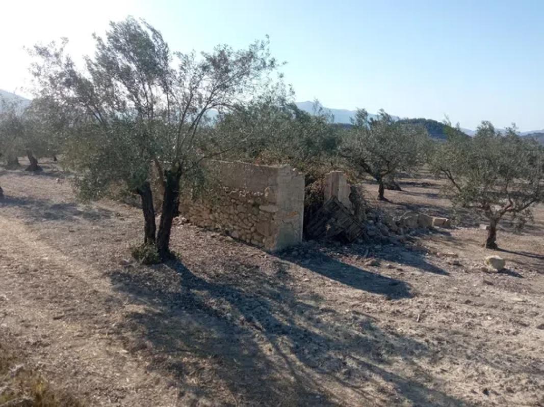 Terreno en venta en Penaguila, Alicante photo 2