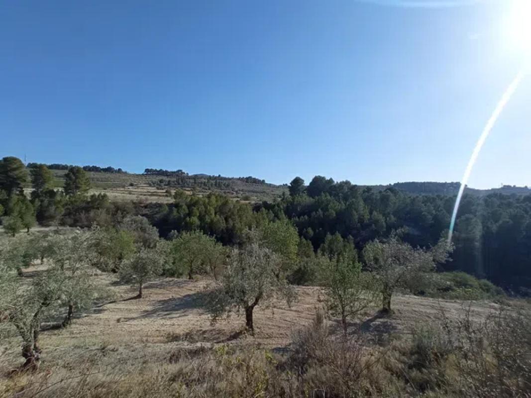 Terreno en venta en Penaguila, Alicante photo 4