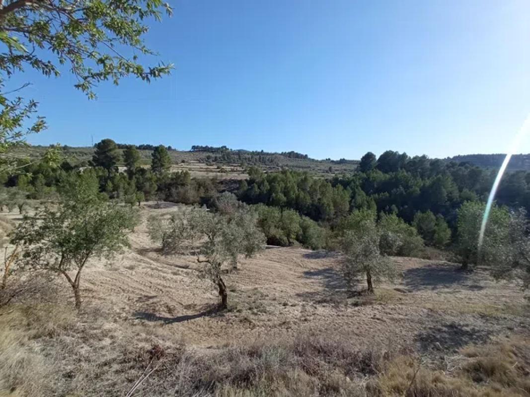 Terreno en venta en Penaguila, Alicante photo 5