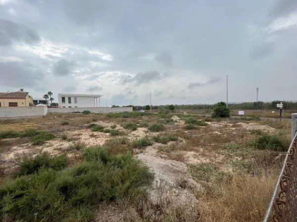 Terreno en San Fulgencio photo 3