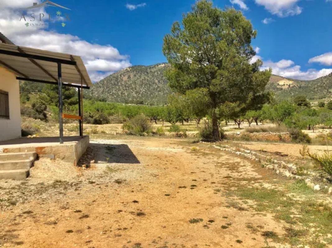 Land for sale in Monovar, Alicante photo 1