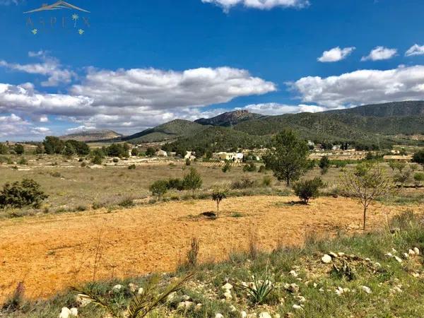 Terreno en Monovar photo 4