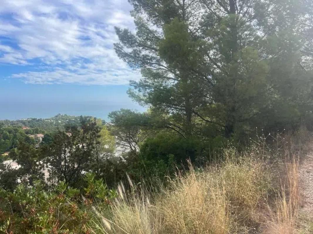 Land for sale in Altea, Alicante photo 2