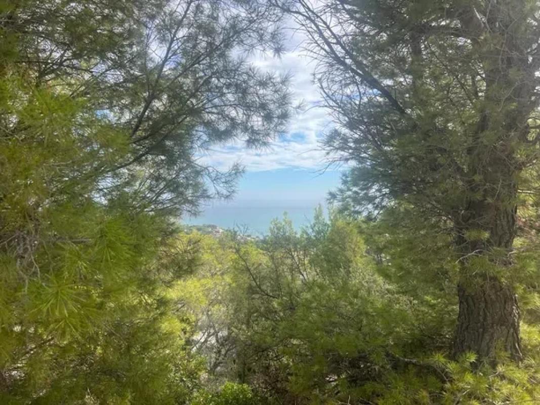 Land for sale in Altea, Alicante photo 3