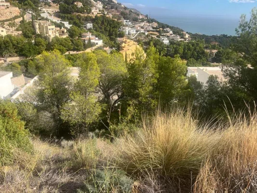 Land for sale in Altea, Alicante photo 5