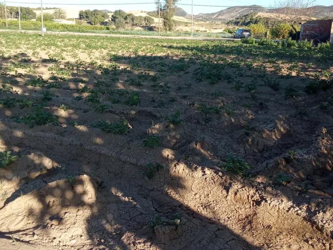 Terreno en venta en Orihuela, Alicante photo 5