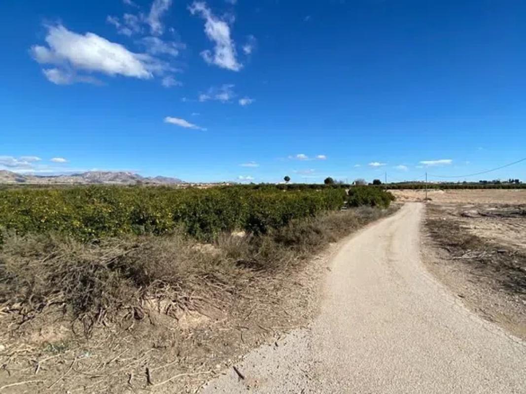 Land for sale in Orihuela, Alicante photo 5