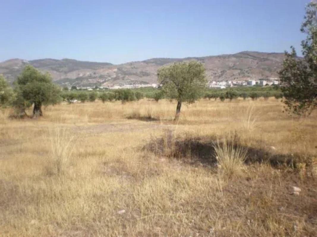 Działka na sprzedaż w Onil, Alicante photo 4