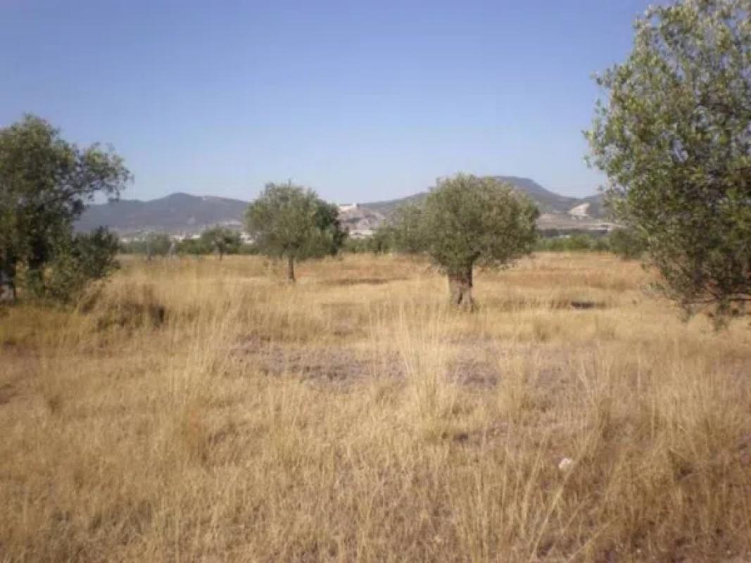 Działka na sprzedaż w Onil, Alicante photo 5