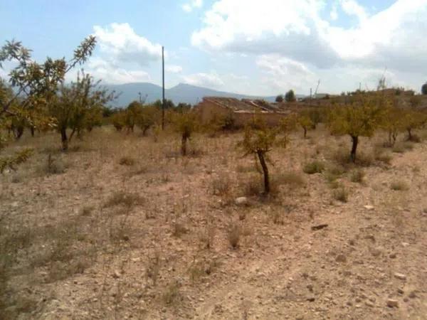 Terreno en Ibi photo 1