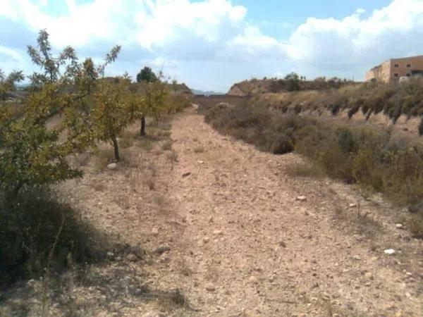 Terreno en Ibi photo 2