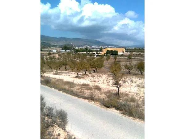 Terreno en Ibi photo 3