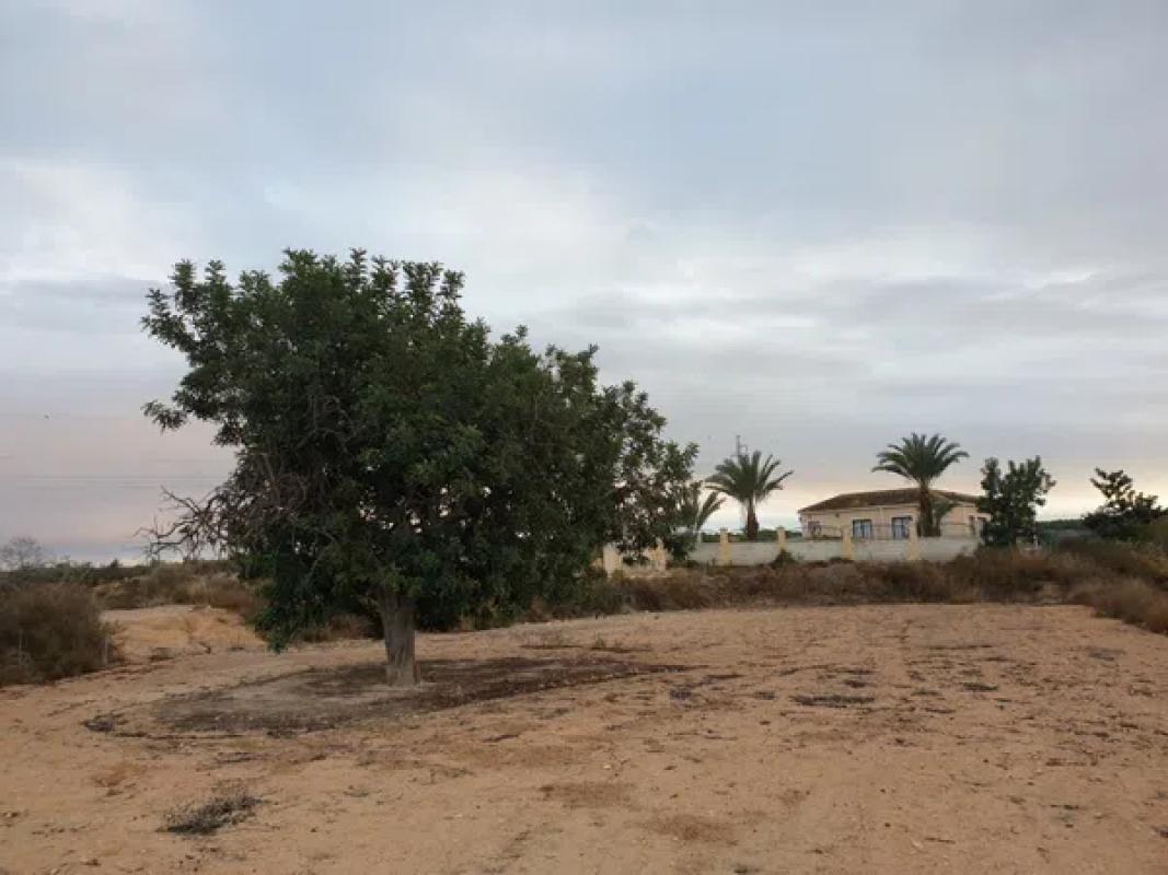 Terreno en venta en Elche / Elx, Alicante photo 1