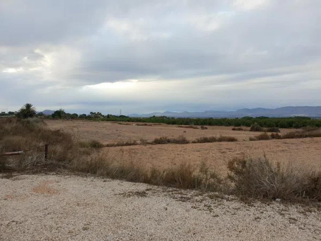 Terreno en venta en Elche / Elx, Alicante photo 5