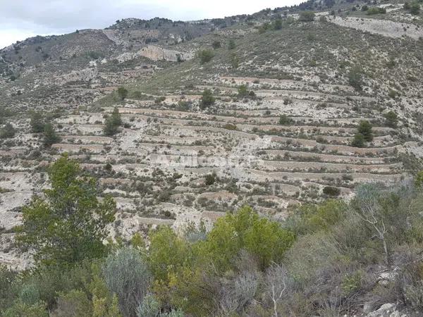 Terreno en Tibi photo 3