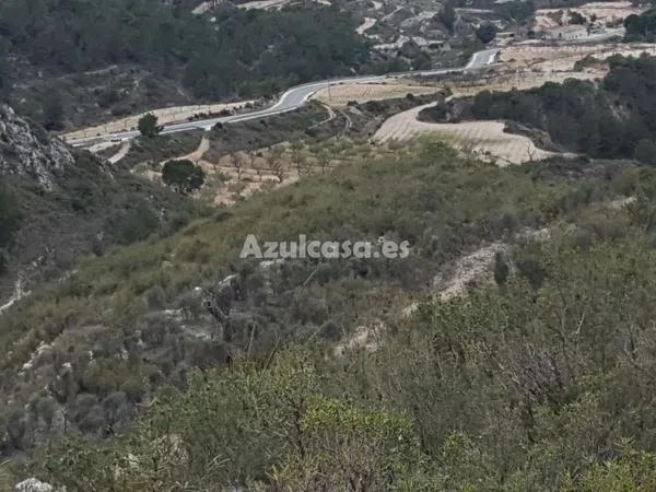 Terreno en Tibi photo 4