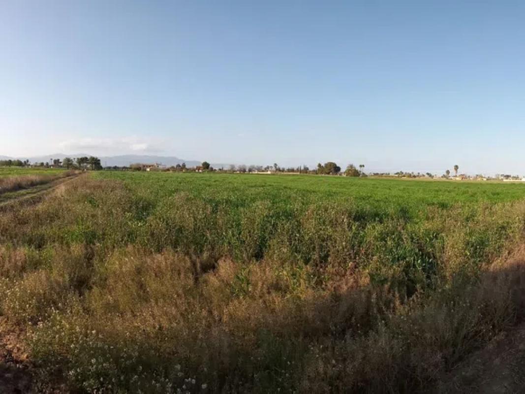Działka na sprzedaż w Catral, Alicante photo 2