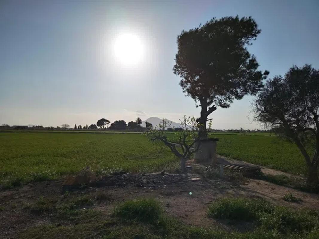 Działka na sprzedaż w Catral, Alicante photo 3