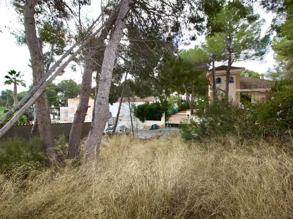 Terreno en calle limonero photo 4