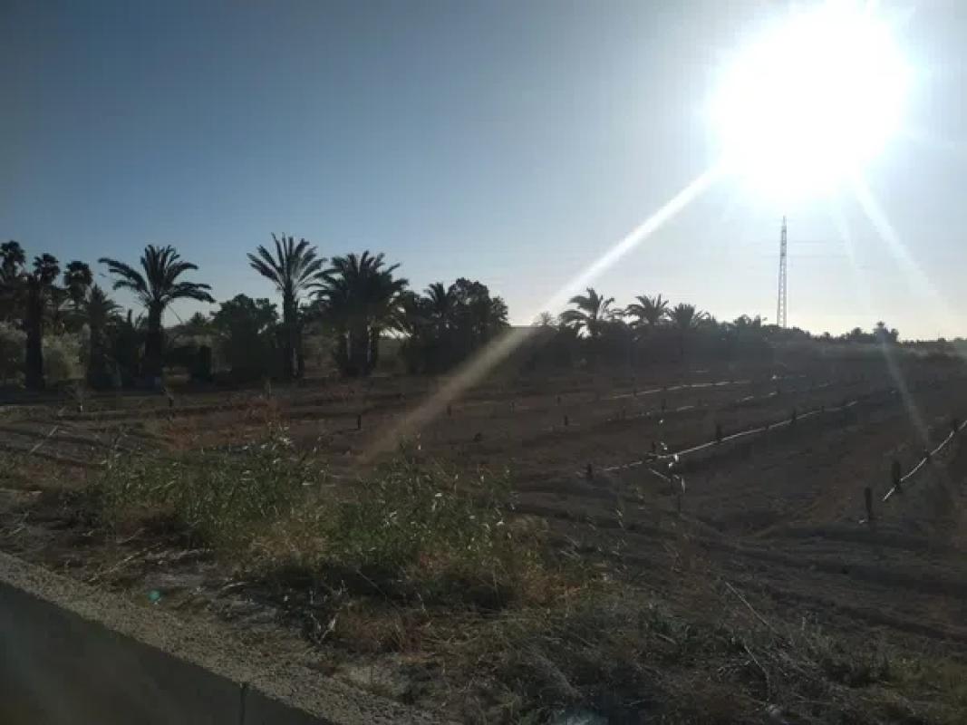 Terreno en venta en San Isidro, Alicante photo 3