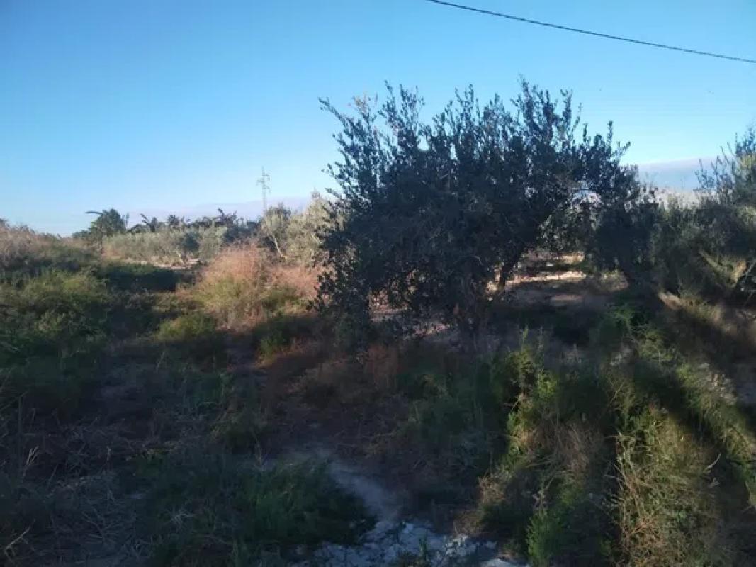 Terreno en venta en San Isidro, Alicante photo 5