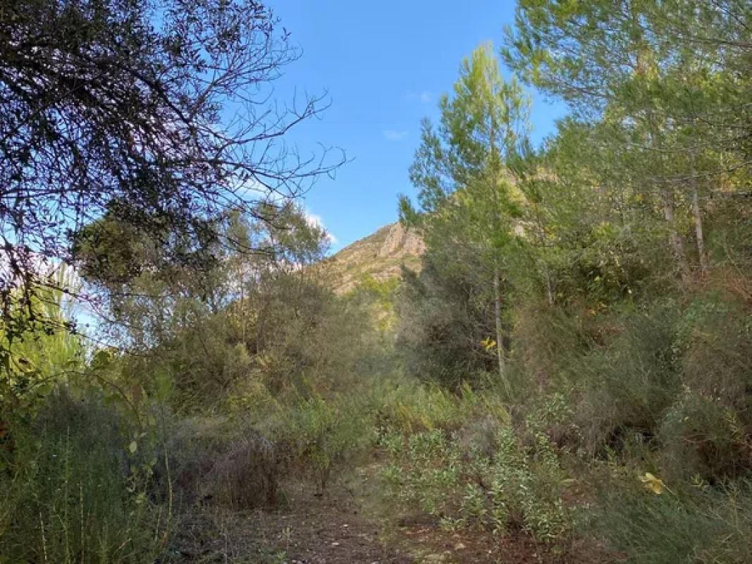 Terreno en venta en Pedreguer, Alicante photo 2