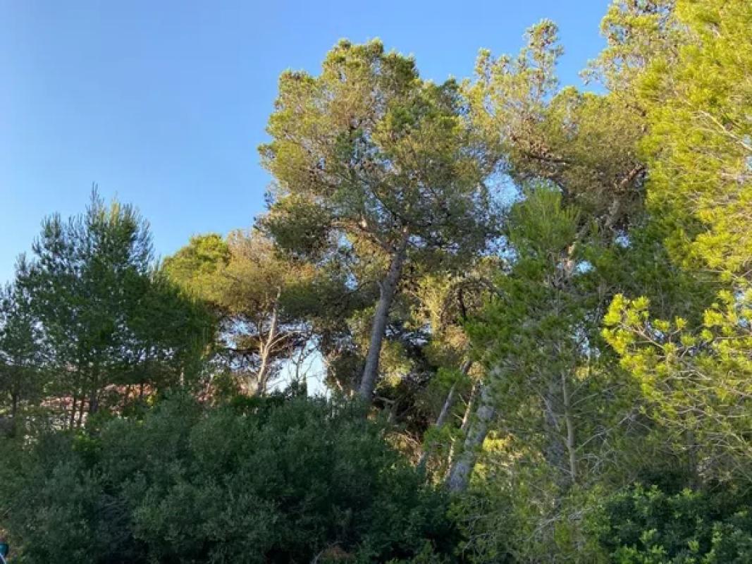 Terreno en venta en Jávea/Xàbia, Alicante photo 1