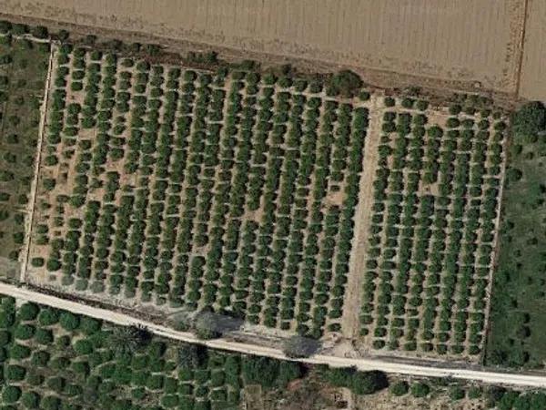 Terreno en Cv-91 s/n photo 2