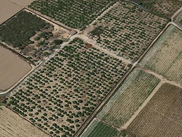 Terreno en Cv-91 s/n photo 4