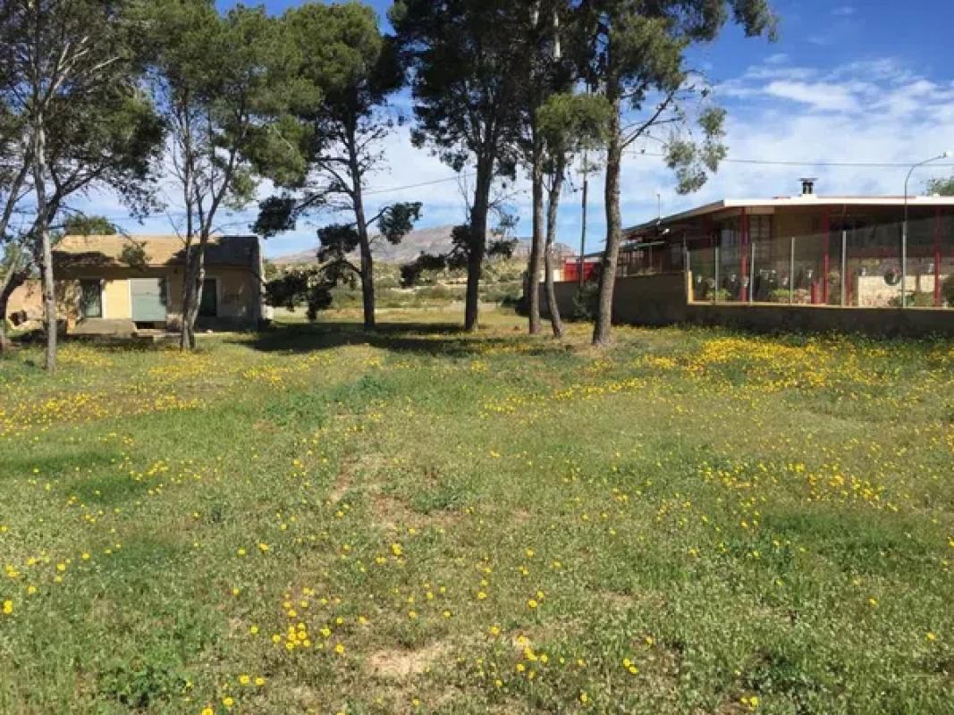 Land for sale in Monforte del Cid, Alicante photo 5